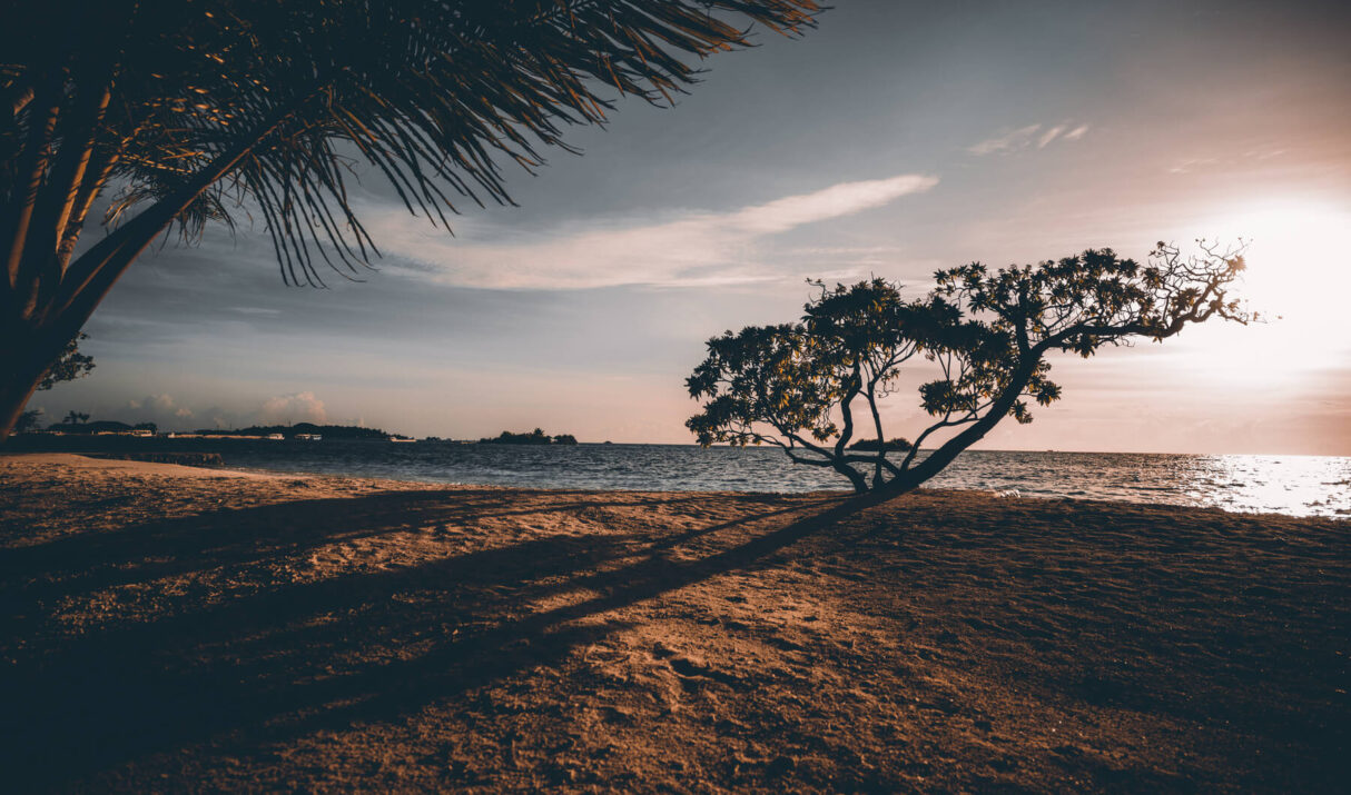 Finding the perfect backdrop